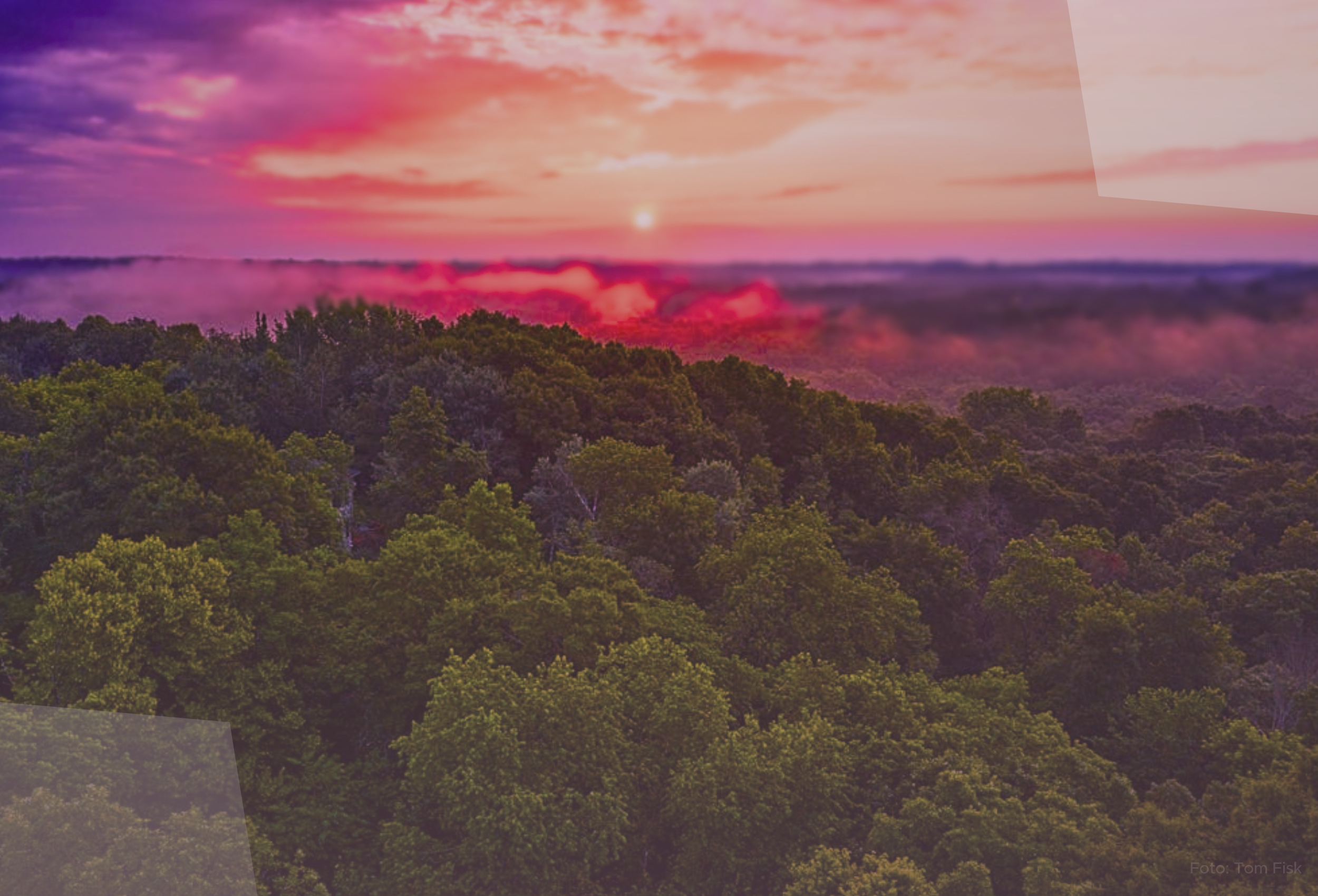 Delimitação das Áreas de Preservação Permanente: um projeto do vereador Toninho Vespoli