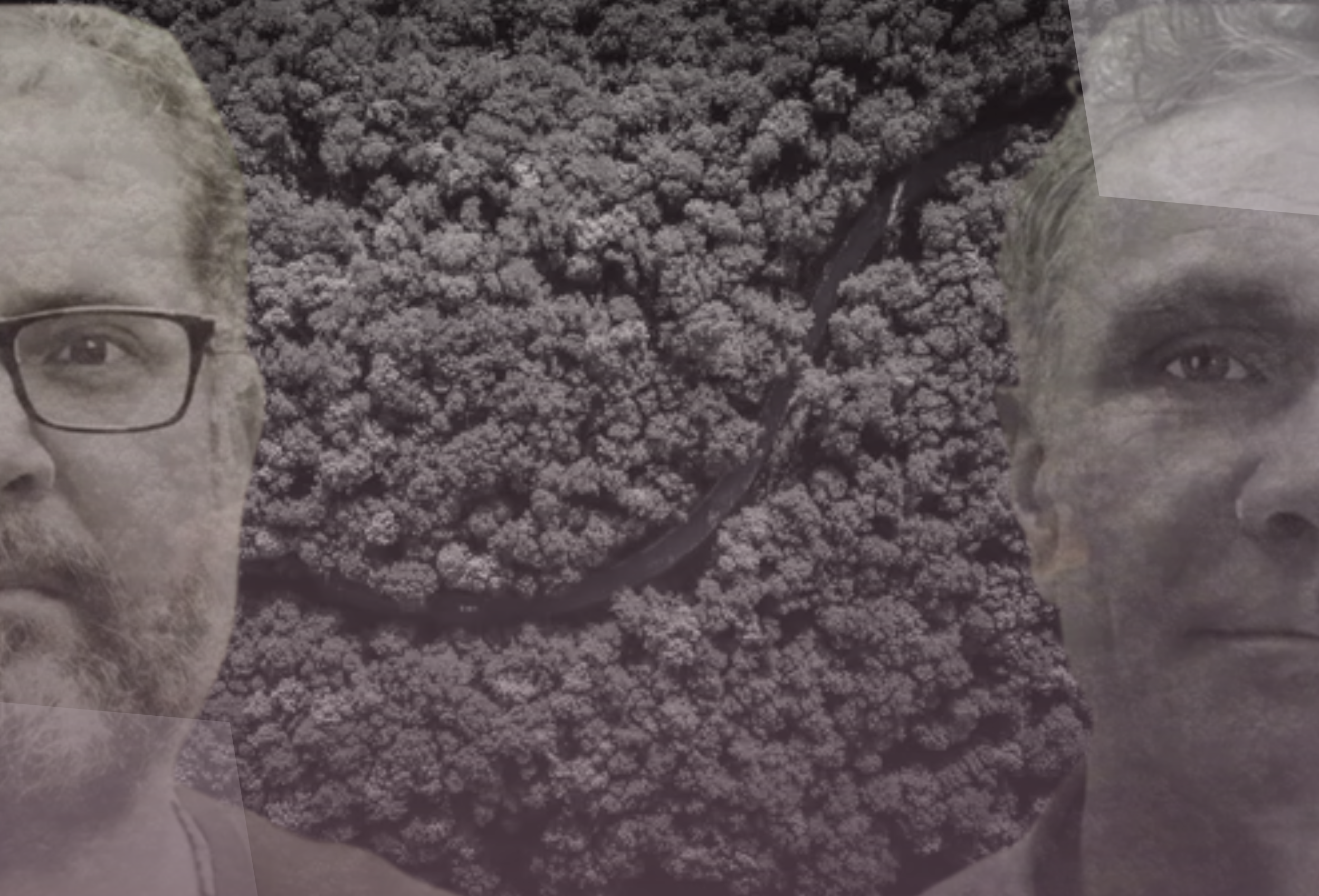 Dia Bruno Pereira e Dom Phillips é lei em São Paulo