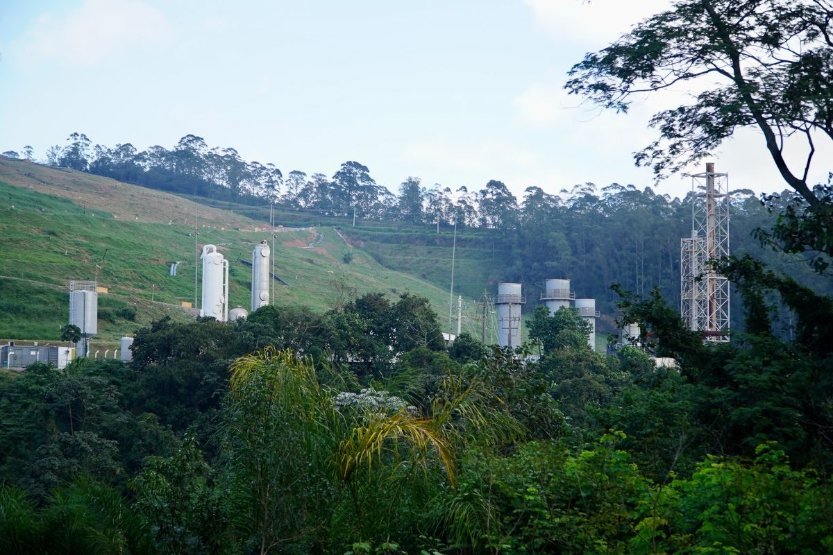 Incinerador em São Mateus ameaça 63 mil árvores
